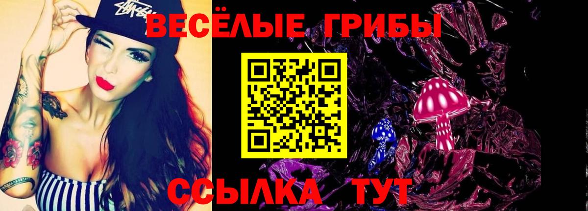 Галлюциногенные грибы Psilocybe  Вход с VPN  Псилоцибиновые грибы Cubensis  Советский 